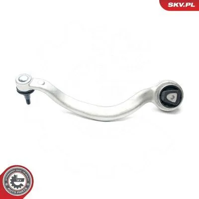 ESEN SKV 04SKV059 Braccio Oscillante, Sospensione Ruota Più Venduto