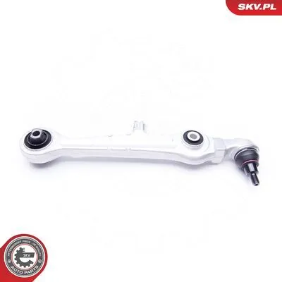 ESEN SKV 04SKV110 Braccio Oscillante, Sospensione Ruota Scelto Dai Clienti