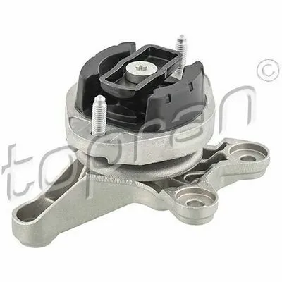 Acquista Ora TOPRAN 110 389 Supporto, Cambio