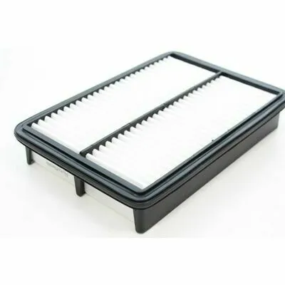 Offerta Del Giorno AUTOMEGA 180068710 Filtro Aria