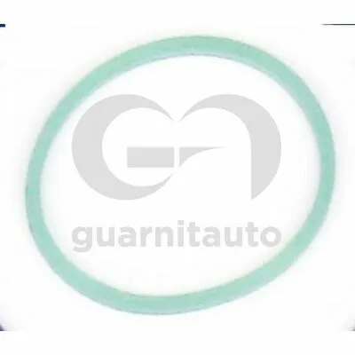 Offerta Limitata GUARNITAUTO 184765-8300 Guarnizione, Collettore Aspirazione