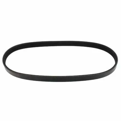 Consegna Rapida MAPCO 240595 Cinghia Poly-V