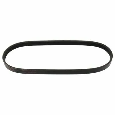 Occasione Imperdibile MAPCO 240643E Cinghia Poly-V