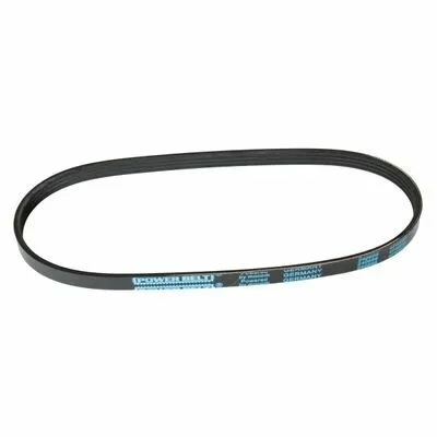 MAPCO 240698 Cinghia Poly-V Prezzo Di Fabbrica