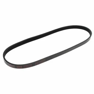 MAPCO 240750 Cinghia Poly-V Direttamente Dal Produttore