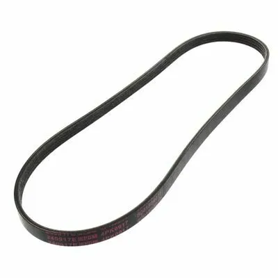 MAPCO 240917E Cinghia Poly-V Offerta Speciale