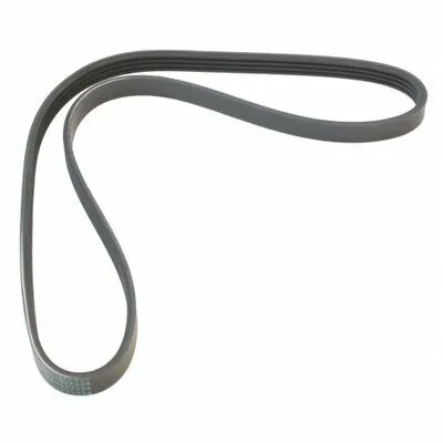 MAPCO 240920 Cinghia Poly-V Must-Have