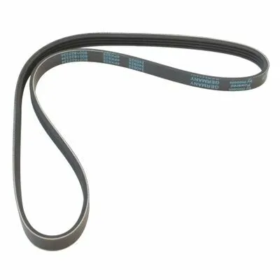 Sconto MAPCO 240925 Cinghia Poly-V