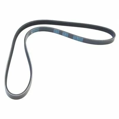 Affare MAPCO 240970 Cinghia Poly-V