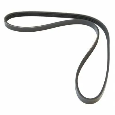 Affare MAPCO 240990 Cinghia Poly-V