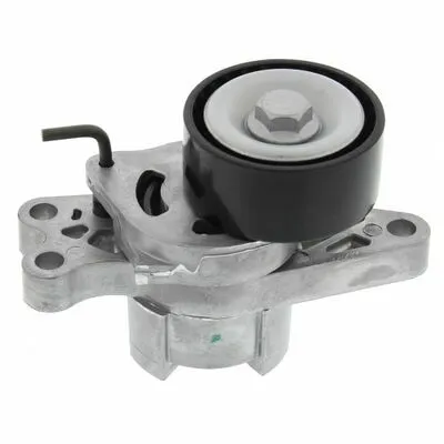 MAPCO 24366 Galoppino/Guidacinghia, Cinghia Poly-V Soddisfatti O Rimborsati