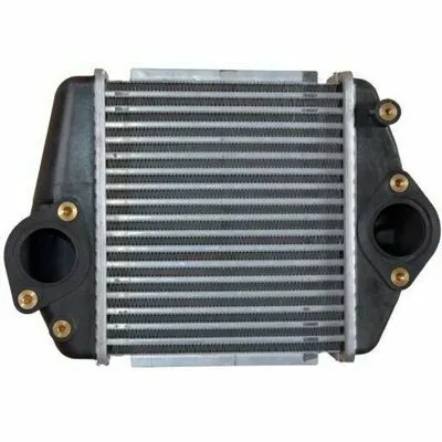 NRF 30360 Intercooler Ordina Subito