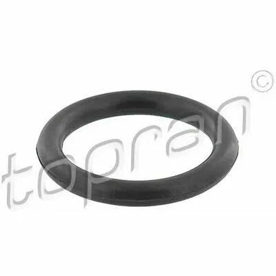 TOPRAN 304 040 Guarnizione, Collettore Aspirazione Affare
