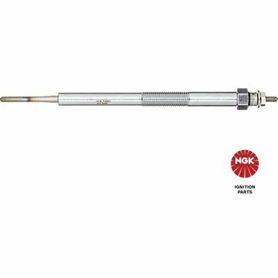 NGK D-Power 3040 Candeletta Reso Gratuito