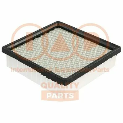 IAP QUALITY PARTS 121-06060 Filtro Aria Direttamente Dal Produttore