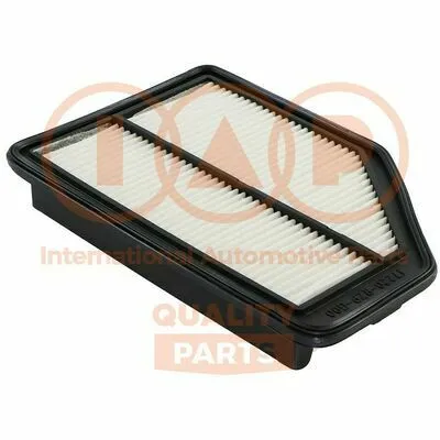 Offerta Limitata IAP QUALITY PARTS 121-06062 Filtro Aria