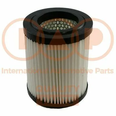 IAP QUALITY PARTS 121-06090 Filtro Aria Direttamente Dal Produttore