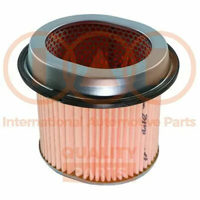 Soddisfatti O Rimborsati IAP QUALITY PARTS 121-07021G Filtro Aria