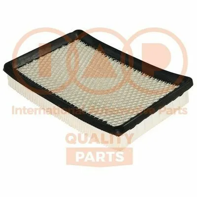 IAP QUALITY PARTS 121-07022 Filtro Aria Compra Oggi Stesso