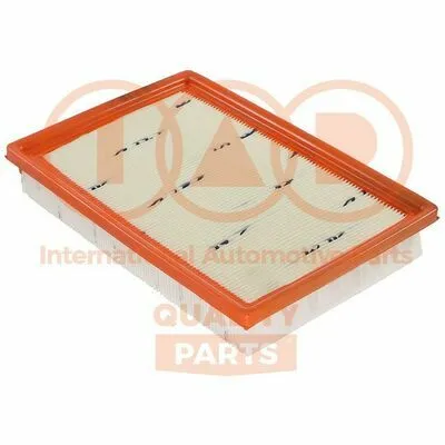 Economico IAP QUALITY PARTS 121-07051G Filtro Aria