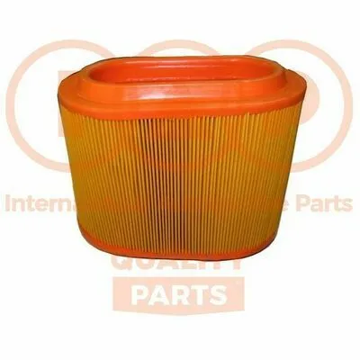 Reso Gratuito IAP QUALITY PARTS 121-07061 Filtro Aria
