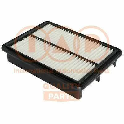 Compra Adesso IAP QUALITY PARTS 121-07062 Filtro Aria