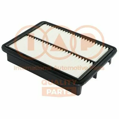IAP QUALITY PARTS 121-07062G Filtro Aria Economico