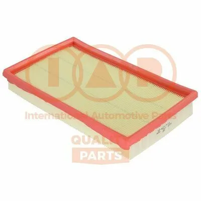 IAP QUALITY PARTS 121-07095 Filtro Aria Consegna Rapida