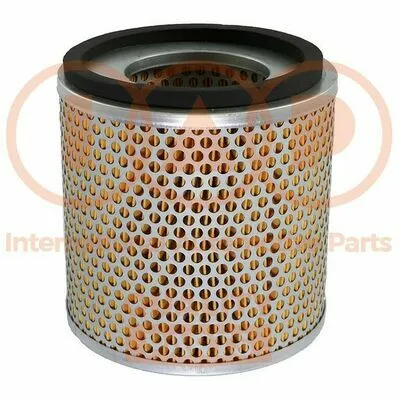 IAP QUALITY PARTS 121-09021 Filtro Aria Affare