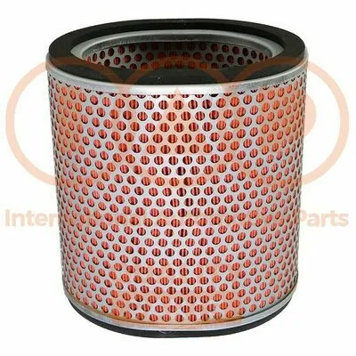 IAP QUALITY PARTS 121-12052 Filtro Aria Economico