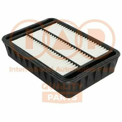 IAP QUALITY PARTS 121-12055 Filtro Aria Offerta Lampo