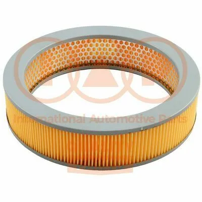 IAP QUALITY PARTS 121-13040 Filtro Aria Sconto