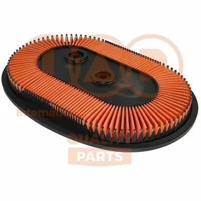Offerta Limitata IAP QUALITY PARTS 121-13083 Filtro Aria