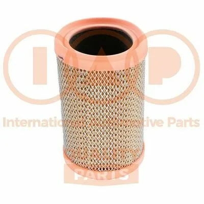 IAP QUALITY PARTS 121-13165 Filtro Aria Miglior Prezzo