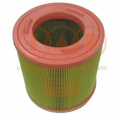 Prezzo Conveniente IAP QUALITY PARTS 121-13172 Filtro Aria