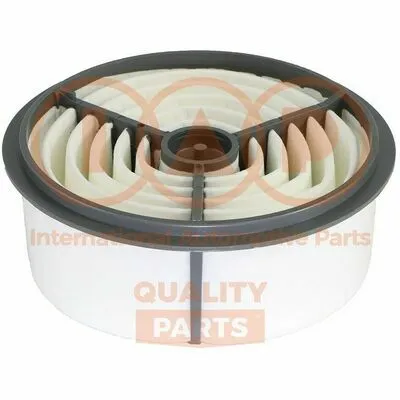 Offerta Del Giorno IAP QUALITY PARTS 121-16063 Filtro Aria