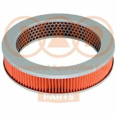 IAP QUALITY PARTS 121-16080 Filtro Aria Offerta Speciale