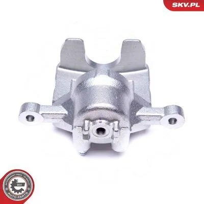 Affare ESEN SKV 42SKV473 Pinza Freno