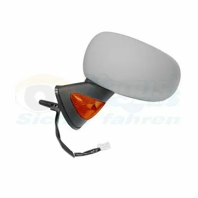 Spedizione Espresso VAN WEZEL * HAGUS * 4366817 Specchio Retrovisore Esterno