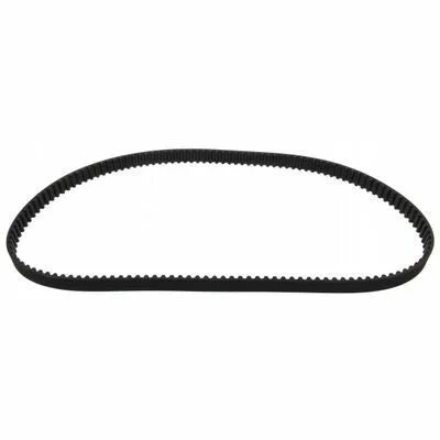 Ultima Occasione MAPCO 43823 Cinghia Dentata