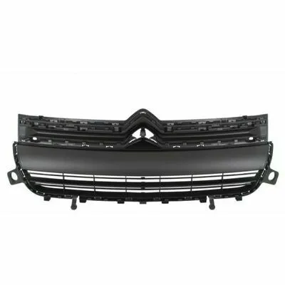 BLIC 6502-07-0554990Q Griglia Radiatore Miglior Prezzo