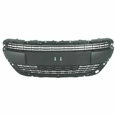 BLIC 6502-07-5509992PP Griglia Radiatore Offerta Limitata