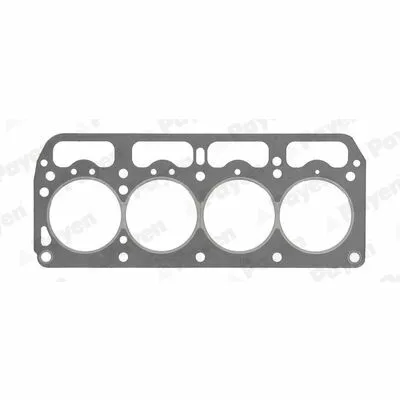 PAYEN BR270 Guarnizione, Testata Ultima Occasione