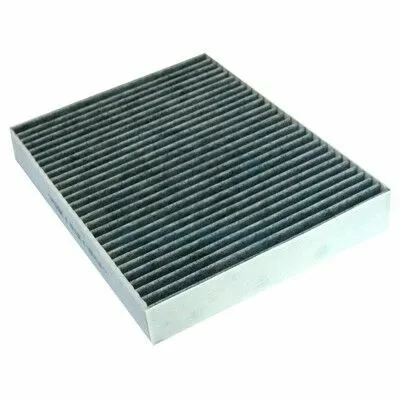 MEAT & DORIA 17529K Filtro, Aria Abitacolo Compra Online