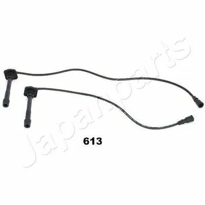 Non Perdere JAPANPARTS IC-613 Cavo Accensione