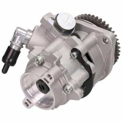 MAXGEAR 48-0080 Pompa Idraulica, Sterzo Scelto Dai Clienti