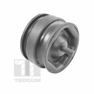 Scelto Dai Clienti TEDGUM 00221175 Sospensione, Motore