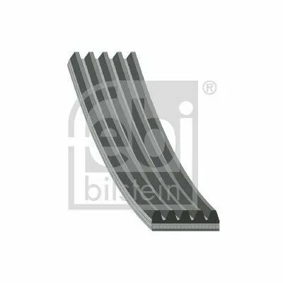 Solo Oggi FEBI BILSTEIN 37531 Cinghia Poly-V