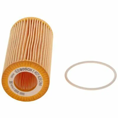 Vendita Finale BOSCH 1 457 429 244 Filtro Olio