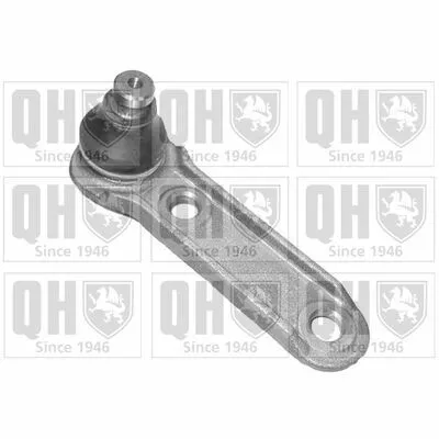 QUINTON HAZELL QSJ1049S Giunto di Supporto / Guida Economico